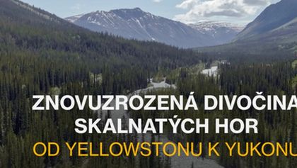 Znovuzrozená divočina Skalnatých hor: Od Yellowstonu k Yukonu (3/4)