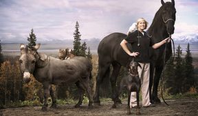 Doktorka Dee: Veterinářka z Aljašky II (2)