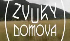 Zvuky domova