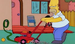 Simpsonovi VIII (22/25)
