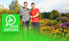 Nová záhrada XI