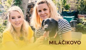 Miláčikovo VIII