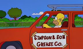 Simpsonovi VII (18/25)