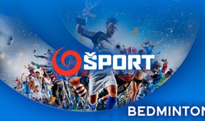 Bedminton World Tour V