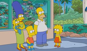 Simpsonovi VI (14/25)