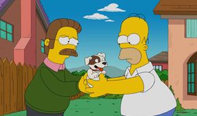 Simpsonovi IV (5/23)