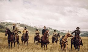 Yellowstone (4/9)