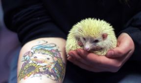 Veterinář z vysočiny (6)