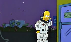 Simpsonovi VII (22/25)