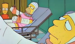 Simpsonovi V (15/22)