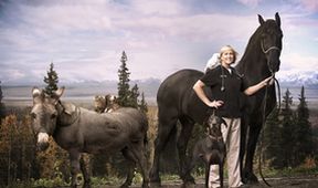 Doktorka Dee: Veterinářka z Aljašky II (9)