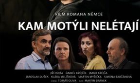 Kam motýli nelétají