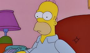 Simpsonovi I (12/13)