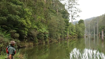 Wild Australia with Ray Mears (2)