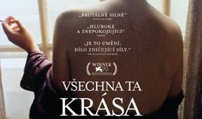 Všechna ta krása a zabíjení