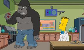 Simpsonovi V (5/22)