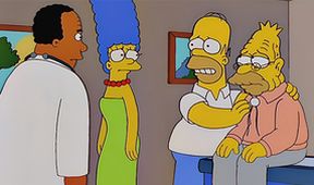 Simpsonovi VII (14/25)