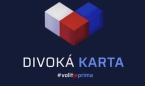 Divoká karta