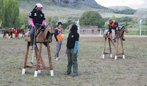 The Amazing Race XXXV (7)