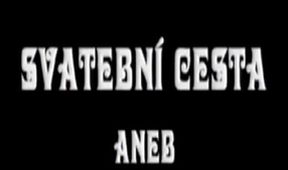 Svatební cesta aneb Ještě ne, Evžene!