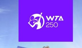 Tenis, WTA 250
