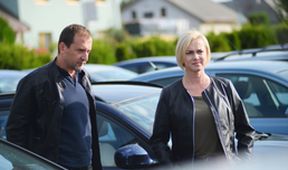 Odznak Vysočina (5)