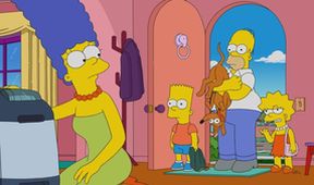 Simpsonovi V (20/22)