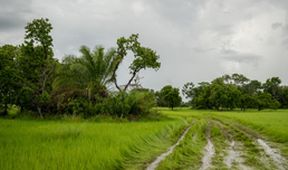 Projekt jaguár (4)