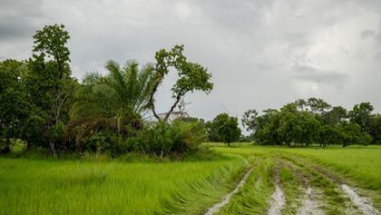 Projekt jaguár (4)