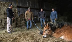 Doktorka Dee: Veterinářka z Aljašky II (3)