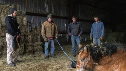 Doktorka Dee: Veterinářka z Aljašky II (3)