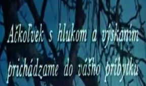 Svadobné veselie zo Stredných Plachtiniec
