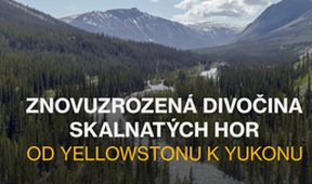 Znovuzrozená divočina Skalnatých hor: Od Yellowstonu k Yukonu (3/4)