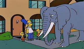 Simpsonovi V (7/22)