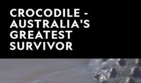 Krokodýl - Král australské divočiny