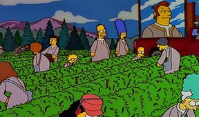 Simpsonovi XV (8/22)