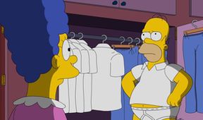 Simpsonovi XVII (16/22)