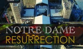 Notre-Dame: Příběh rekonstrukce