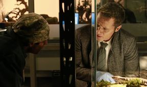 Castle na zabití VIII (10/22)