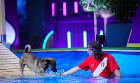 Top Dog Germany - Der beste Hund Deutschlands