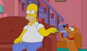 Simpsonovi XI (16/22)