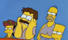 Simpsonovi XI (2/22)