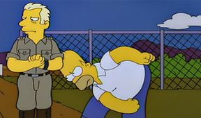 Simpsonovi VII (8/25)