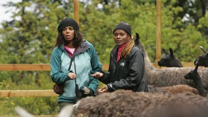 The Amazing Race XXXV (2)