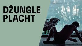 Džungle Placht
