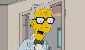 Simpsonovi VIII (21/25)