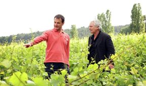 Vraždy na vinicích - Řada 7 - Epizoda 1 VII (1)