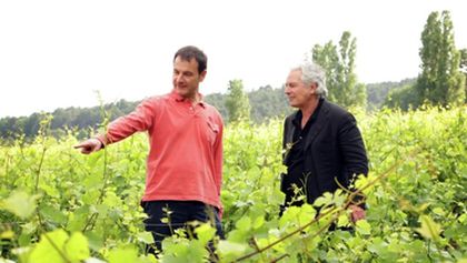 Vraždy na vinicích - Řada 7 - Epizoda 1 VII (1)