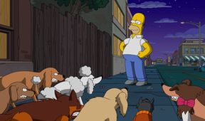 Simpsonovi XIX (4/20)