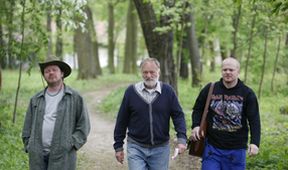 Okresní přebor (1)